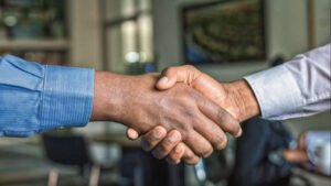 Zylaris Group and Bigness Group: A Structural Partnership